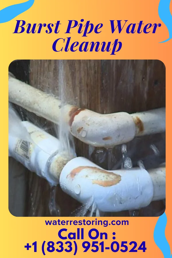 Burst Pipe Water Cleanup in Lambert, MS