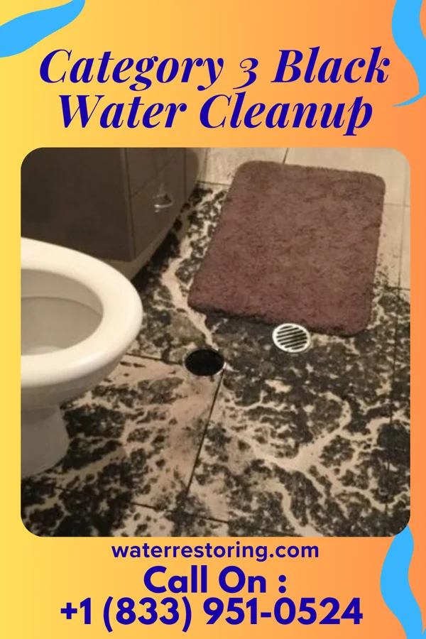 Category 3 Black Water Cleanup in Lambert, MS