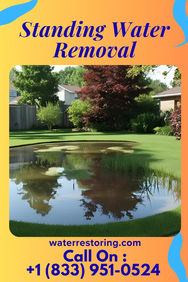 Standing Water Removal in Lambert, MS